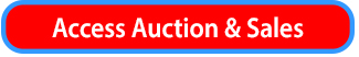 Access Online Auction & Sales